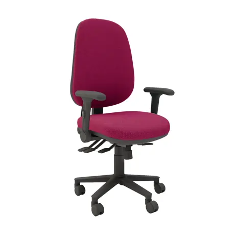 Multi-functional High Back Task Chair - Black Base - Folding Arms - Bingham